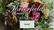 Porterfields website thumbnail