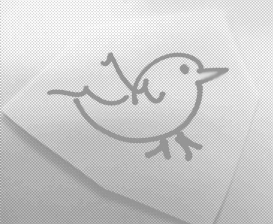 tiny bird: small and mighty